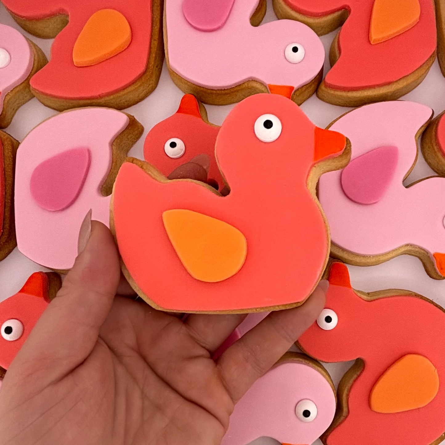 Rubber Duckie Cookie Pack
