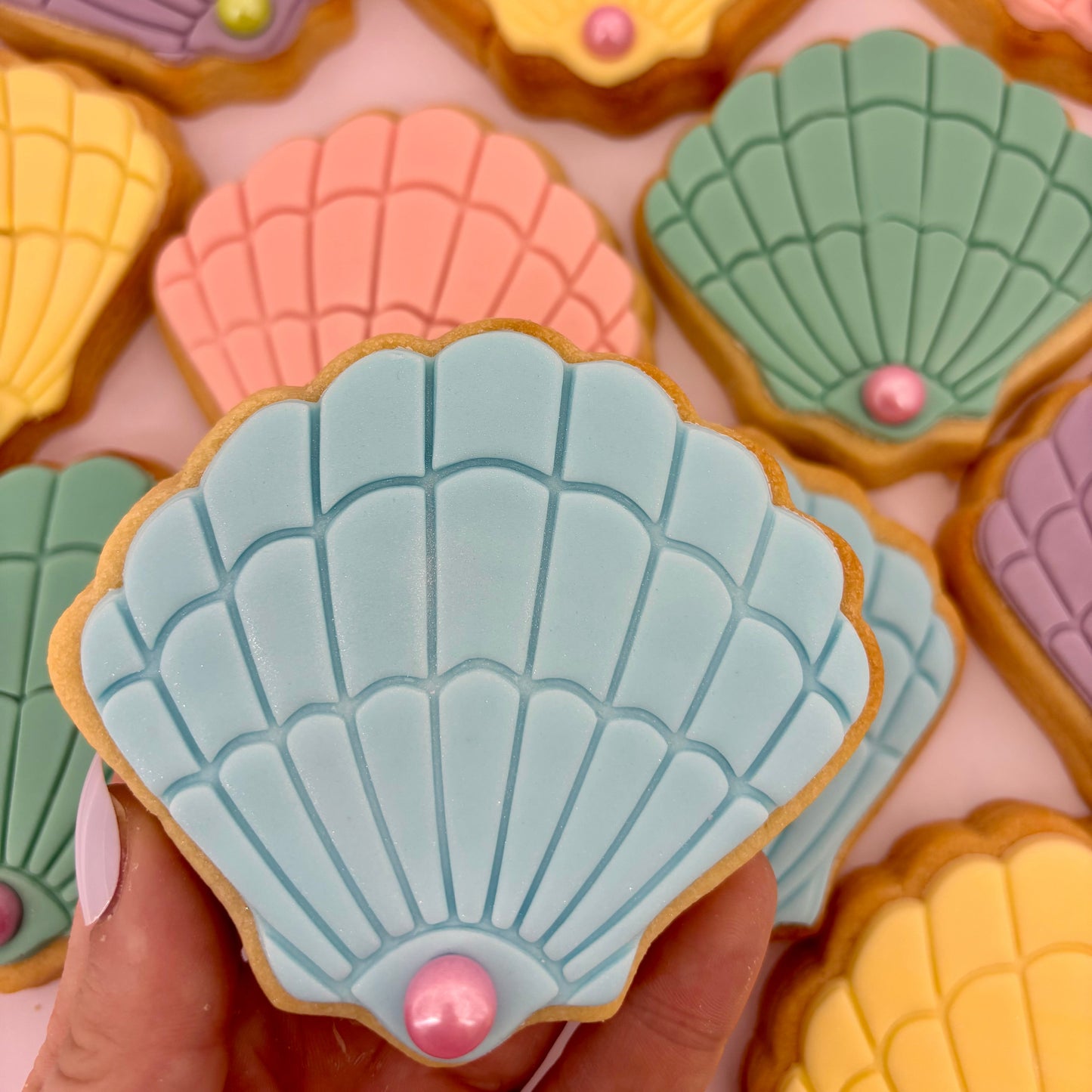 Seashell Cookie Pack